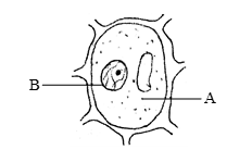 question image