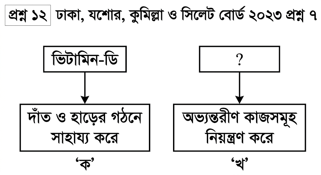question image